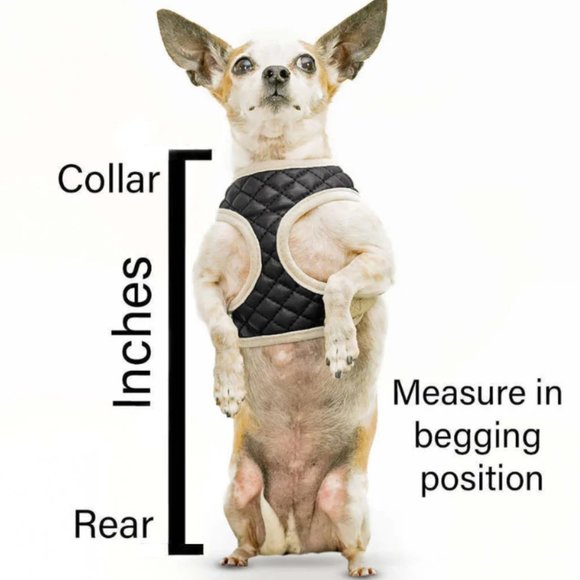 ZugoPet - Rocketeer Pack - Multifunctional Car Harness for Dogs - XS - NWT - Picture 2 of 7